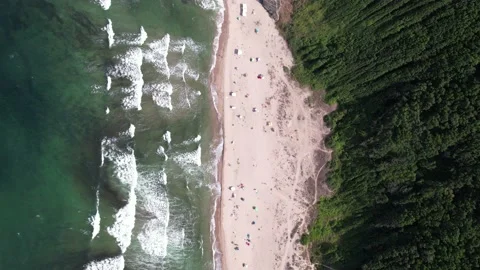 Top down view of wild beach in Black Sea Coast. 4K Drone Video Stock Footage 177080716
