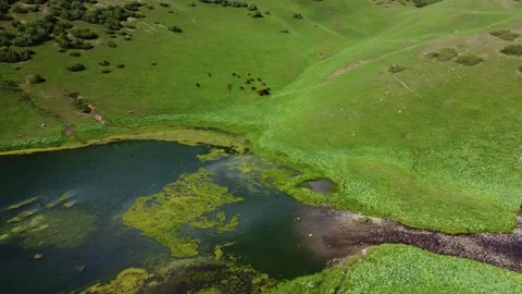 Top down view of wild horses grazing near alpine Silbeli lake in Kazakhstan 스톡 동영상 337137840