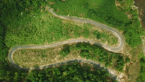 Top down view of winding countryside road with green forest and tropical plants. Stock Footage 131672905