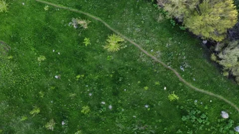 Top down view of winding hiking trail on green meadow, abstract nature concept Vidéo 334326450