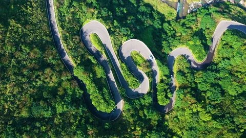 Top down view of winding road in forest Stock Footage 146629425