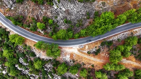 Top down view of a winding road through pine forest on Thassos Stock Footage 347174329