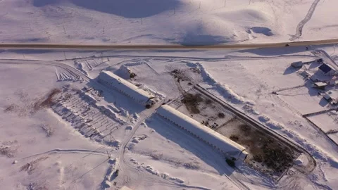 Top down view of winter cows on a farm Video stock 168520636