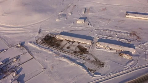 Top down view of winter cows on a farm Stock Footage 168550993