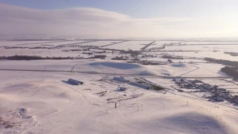 Top down view of winter cows on a farm Stock Footage 168640247