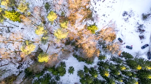 Top down view on winter forest with people exploring and cars Stock Footage 147316041
