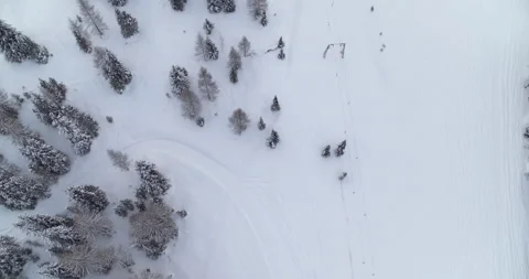 Top down view of Winter Wilderness. Snow covered Forest and Fields Stock Footage 150113543