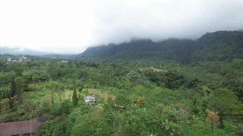 Top down views from misty forests and mountains. Stock Footage 258312706