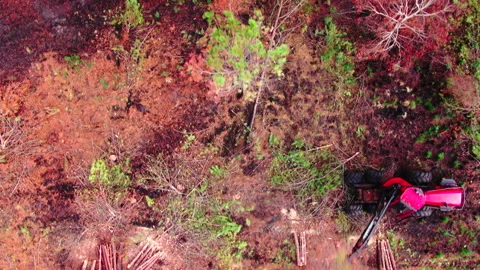 Top-down wide backward tracking of vehicle deforesting, Gironde Stockbeeldmateriaal 332065820