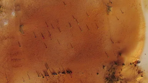 Top-down wide drone shot of people playing football on dirt field, Senegal Stock Footage 331991996