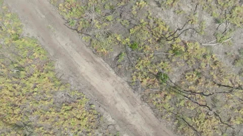 Top-down wide forward tracking of deforested area, France Stock Footage 333108630