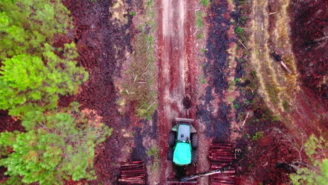 Top-down wide shot of vehicle moving tree trunk in forest, Gironde Vídeos de archivo 332065286