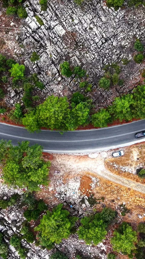 Top down winding road through pine forest, Thassos, vertical Stock Footage 347178397