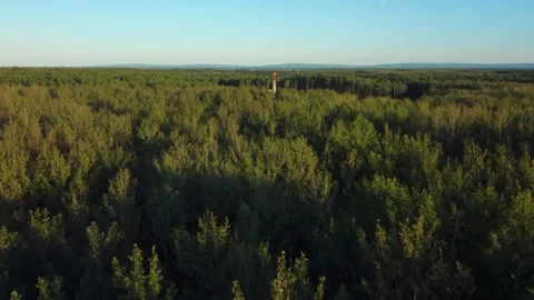 Top of Drilling Rig Visible Above Dense Boreal Forest Stockbeeldmateriaal 342665145