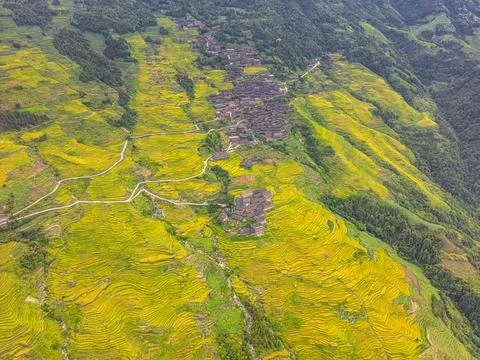 Top drone close up view on the Longji rice terraces in Guangxi province, Chin Stock Photos