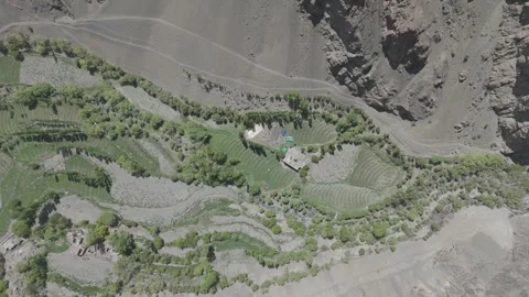 Top Drone Down Shot Over Lush Green Forest and Farmland in Ladakh Valley in the Vídeos de archivo 335764266