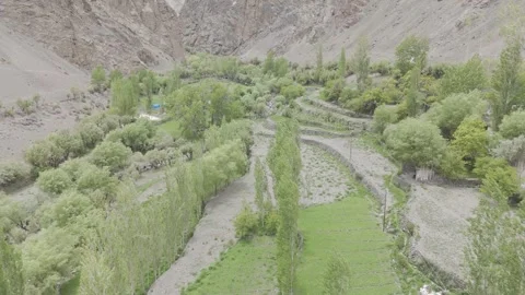 Top Drone Shot Moving Over Lush Green Fields in Ladakh Mountains in the Scenic Stock-Footage 334655810