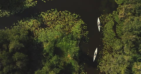 Top drone shot of two white canoes in nature Stock Footage 221317538