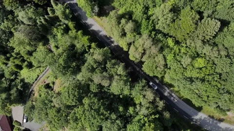 Top drone view of a car driving down a road in a forest Video stock 235604411
