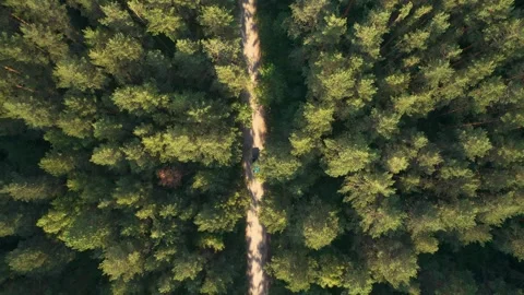 Top drone view of car driving through forest road path Stock Footage 295138296
