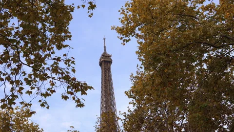Top of the Eiffel Tower in Autumn in Paris, France surrounded by brown leaves Stock Footage 222768937
