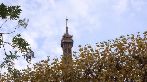 Top of the Eiffel Tower in Autumn, Paris surrounded by brown leaves Stock Footage 222769363