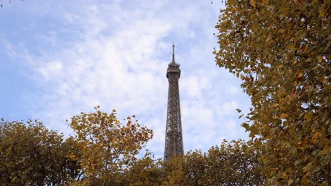 Top of the Eiffel Tower in Autumn, Paris surrounded by brown leaves Stock Footage 222769532
