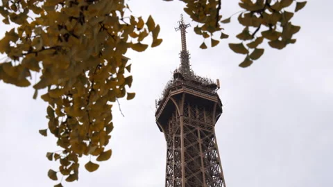 Top of the Eiffel Tower in Autumn, Paris surrounded by brown leaves Stock Footage 223663780