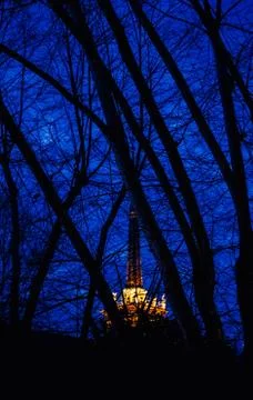 The top of Eiffel tower through trees and branches 스톡 사진