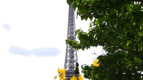 Top of the Eiffel Tower with yellow flower and trees, Trocadero, Paris, France Video stock 237923588