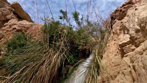 Top of ein gedi waterfall moving downward Stock Footage 74097203