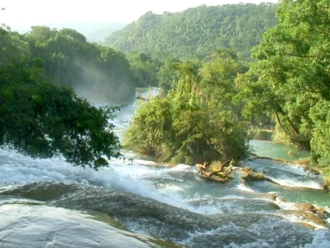 Top Falls Stock Footage 490418