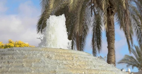 The top of fountain onto palm tree Stock Footage 116121237