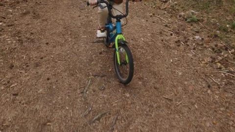 Top front view of boy cycling on dirt forest path Stock Footage 316581893