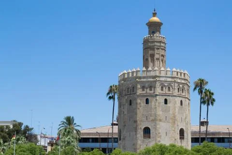 Top of the Gold tower Фото