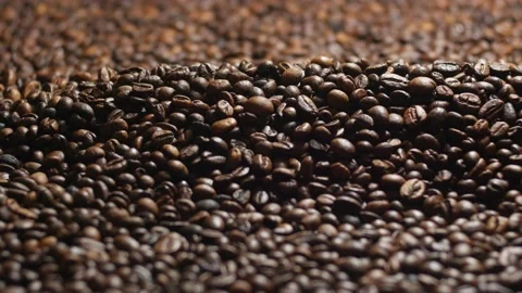 Top grade coffee beans Stock Footage 108611336