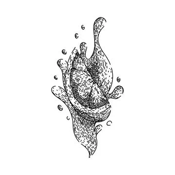 Top grapefruit red sketch hand drawn vector Stock Illustration
