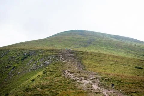 Top of the green mountain Hoverla, Ukraine. View from below Foto stock
