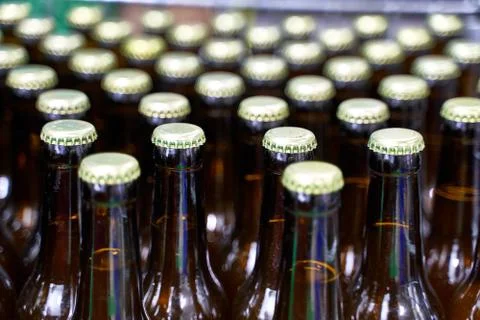 Top of a group of capped beer bottles in a brewery Stock Photos