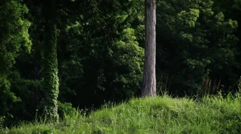 Top of the hill Video stock 11295970