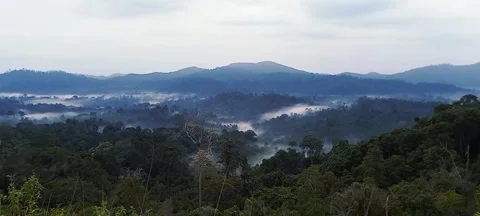 Top Hils Stock Footage 241778961