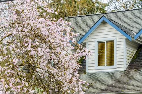 The top of the house with nice window. Stock Photos