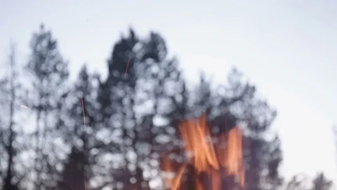Top of a large bonfire burning in front of a dry mountain forest. Stock Footage 70380903