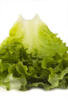 Top of lettuce leaf Stock Photos