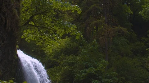Top of Middle Falls at Silver Falls Stock Footage 93871229