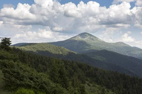 The top of Mount Hoverla is covered with green grass and stones on a sunny .. Stock Photos