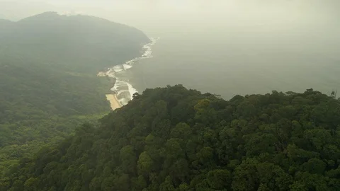 Top of mountain in atlantic forest cloudy Stock Footage 127593811