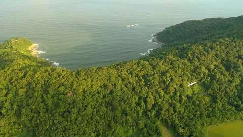 Top of mountain in atlantic forest sunny Stock Footage 127593824