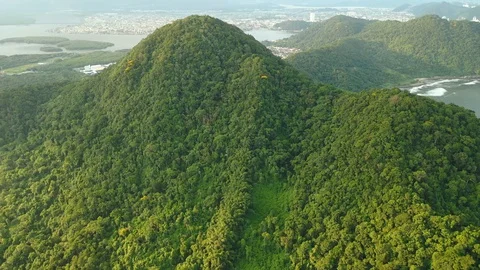 Top of mountain in atlantic forest sunny Stock Footage 127593834
