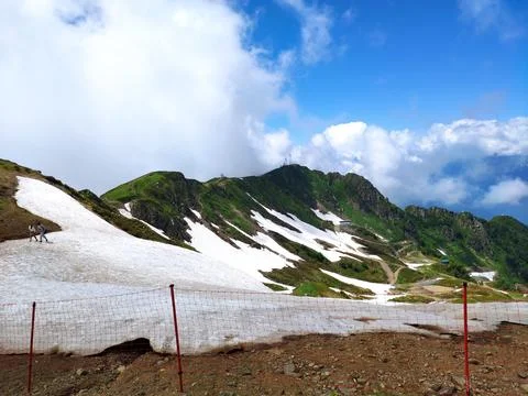 On top of a mountain in the clouds in summer 写真素材